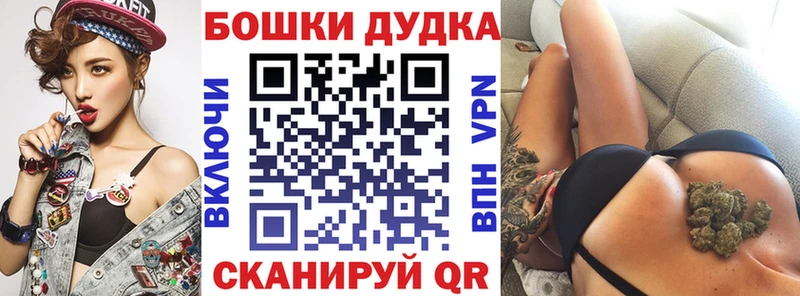 Бошки Шишки планчик Зерноград